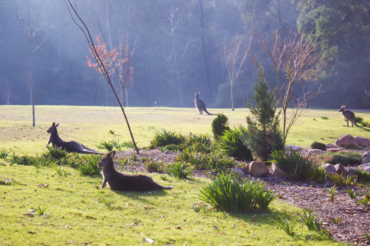 Marwood Holiday park Halls Gap