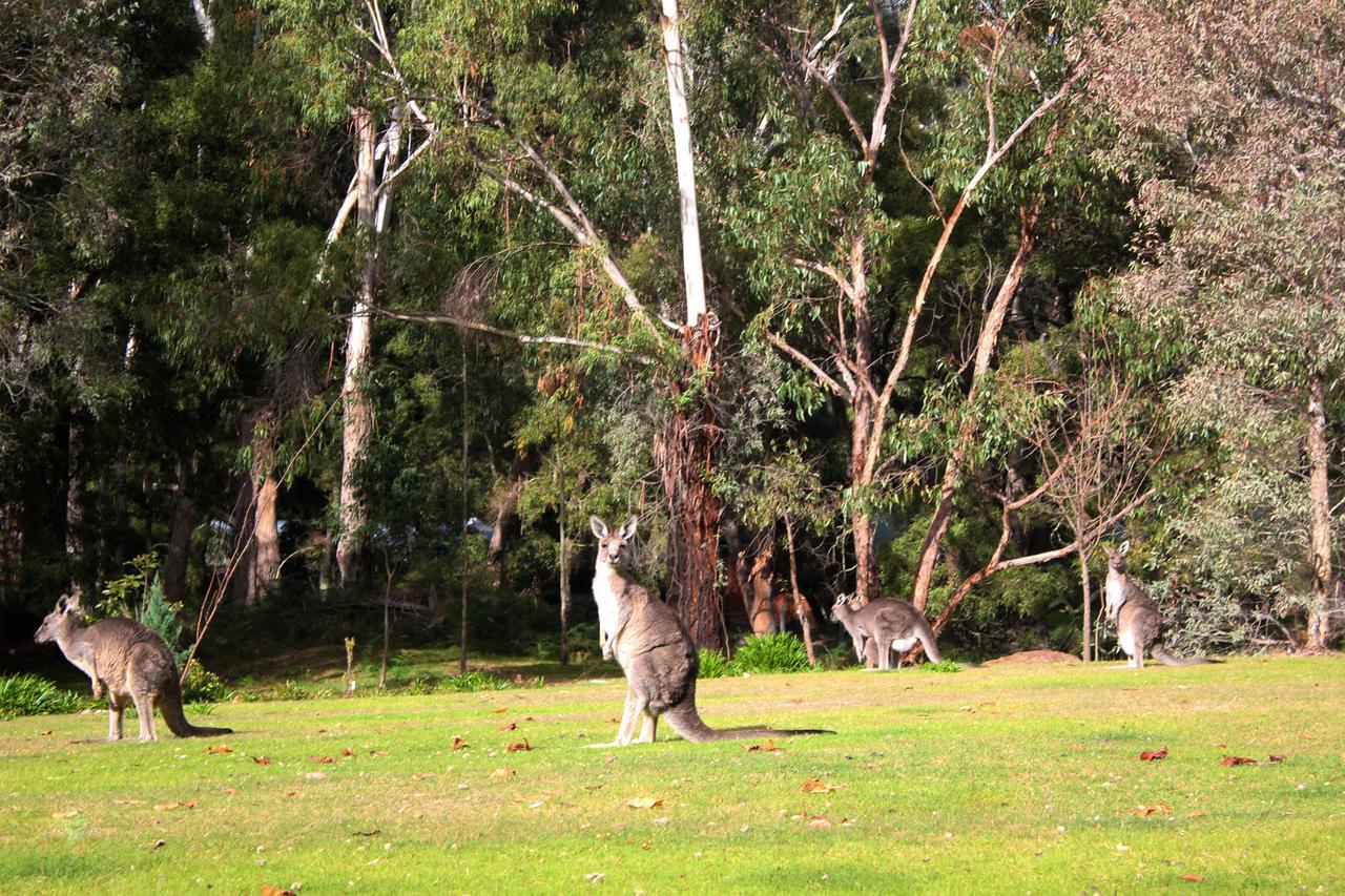 Holiday park Marwood Halls Gap