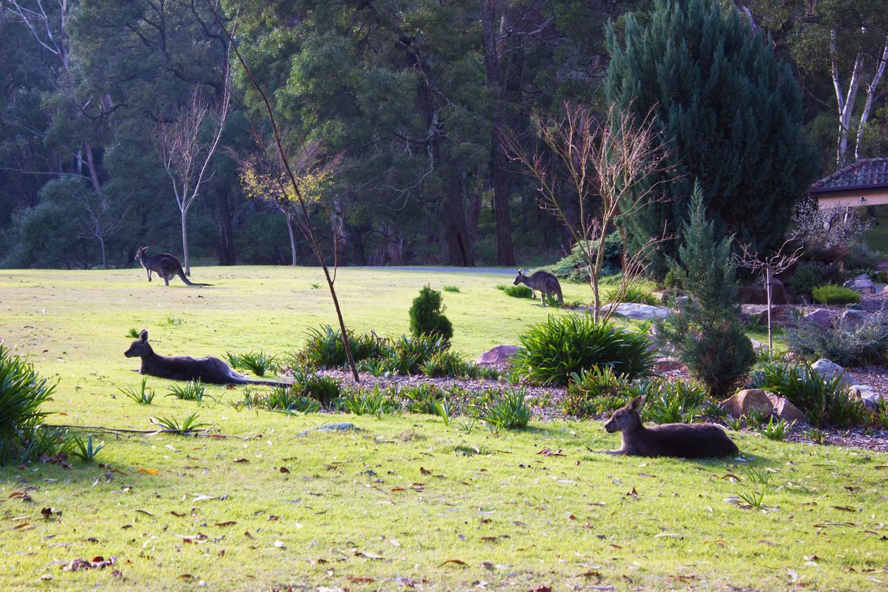 Marwood Holiday park 4*